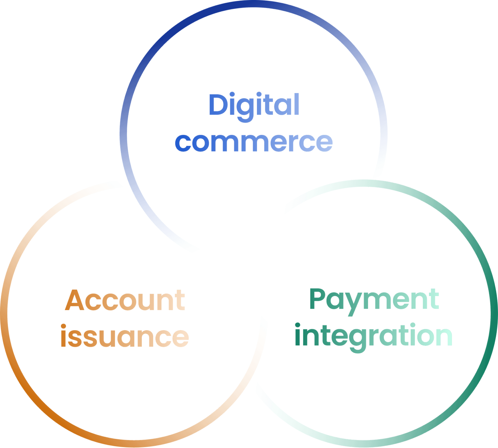 Our services